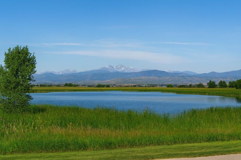 Best Tub To Shower Conversion pros in Timnath, CO
