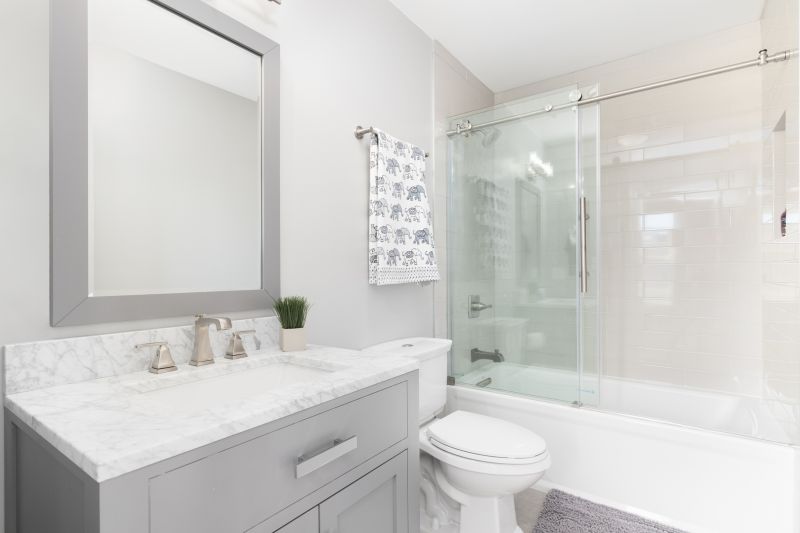 Top Tub To Shower Conversion Companies in Fort Collins, CO