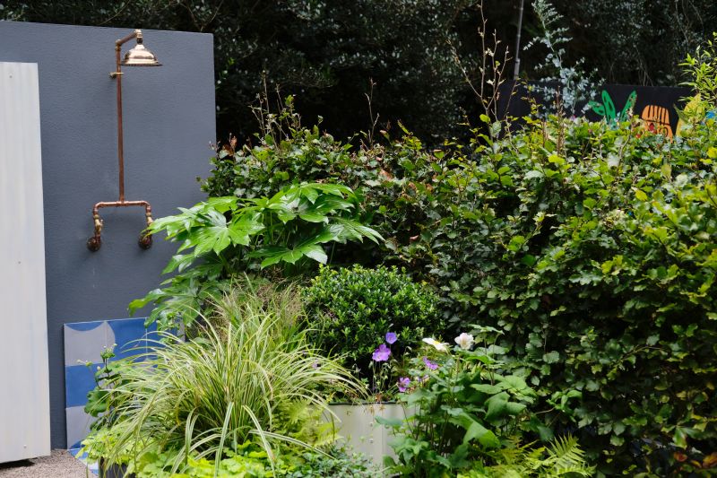 Top Tub To Shower Conversion Companies in Loveland, CO